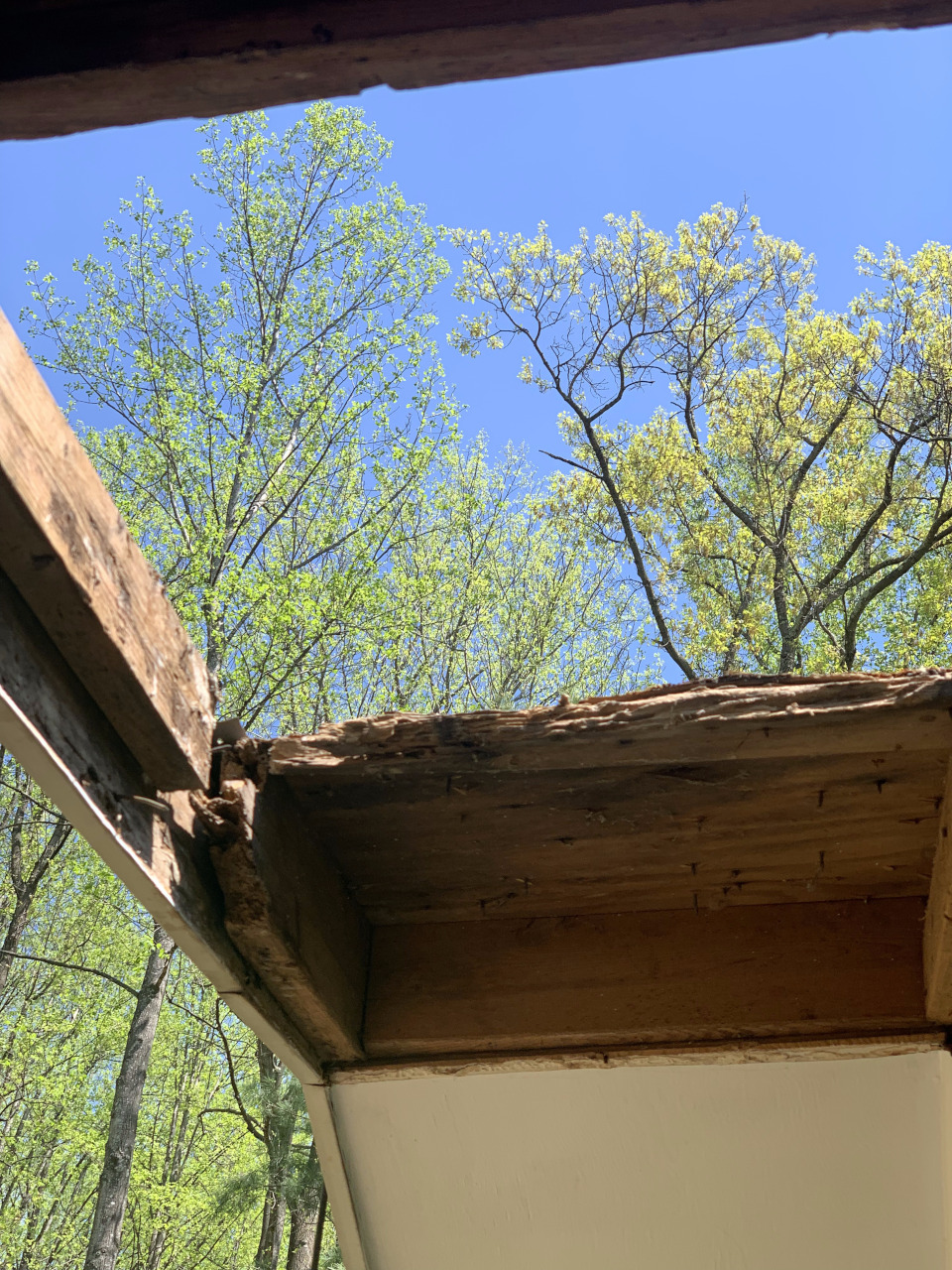A close-up of the soffit underside shows extensive rot and the thin remaining margin of material that had been supporting the chimney.