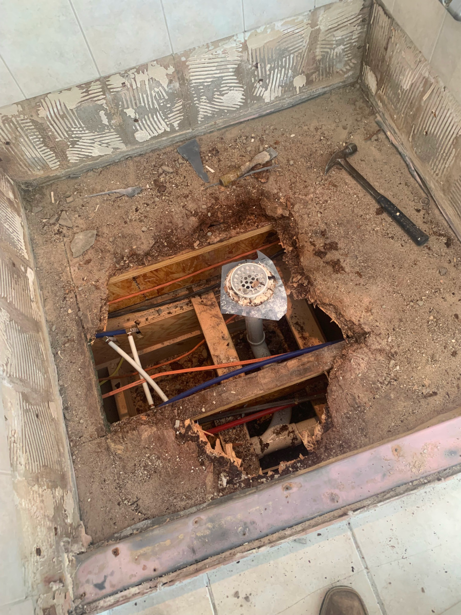 Shower demolition and rot assessment